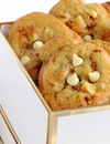 Crispy Salted Oatmeal White Chocolate Chip