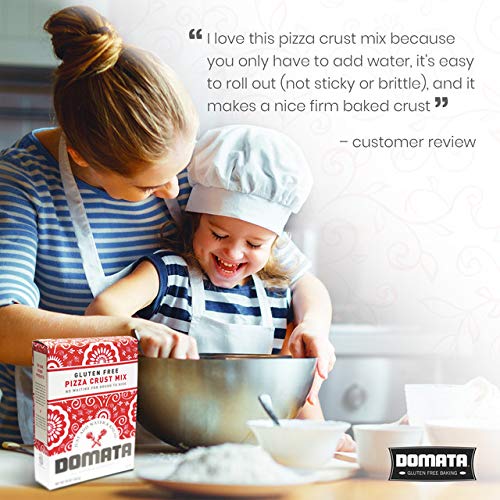 Easy- Bake Gluten Free Pizza Crust Mix (4 lbs)